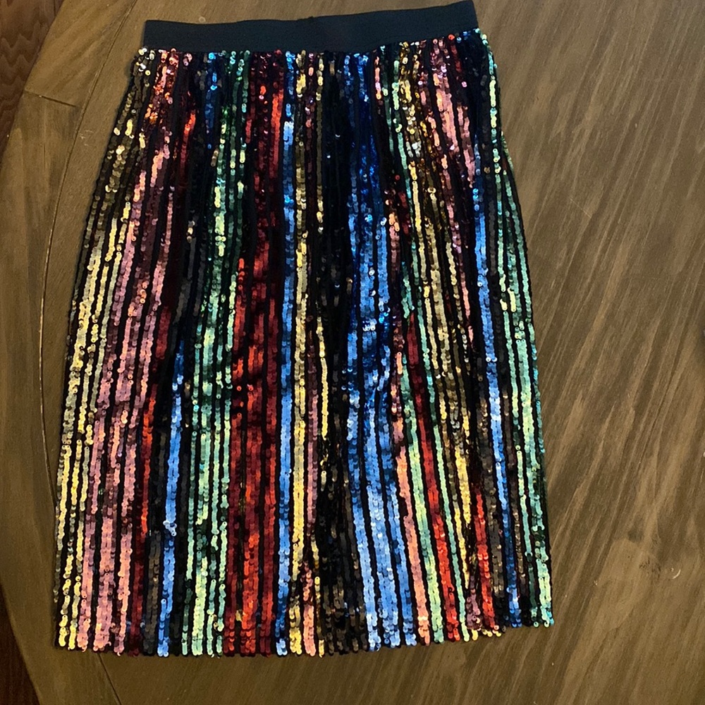 Sequin Skirt